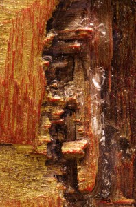 Chakra totem - macro 3