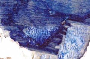Isola - macro 2