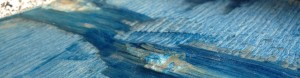 cropped-IMG_24772.jpg